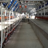Boumatic 50 Degree GMi Plus